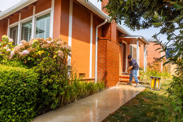 Best Power Washing Near Me  in Tool, TX